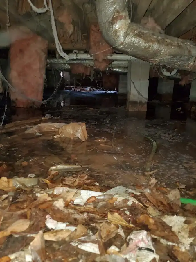Crawl space flood assessment for Leak Detection & Repair in Harwood Heights