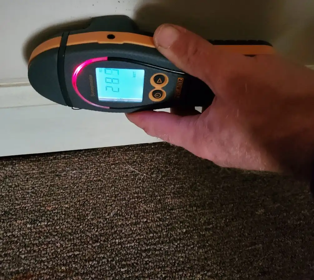 Moisture detection at baseboard during Burst Pipe Cleanup in Harwood Heights
